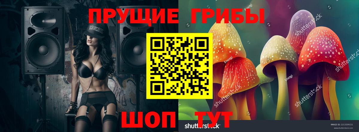Галлюциногенные грибы мухоморы Минеральные Воды